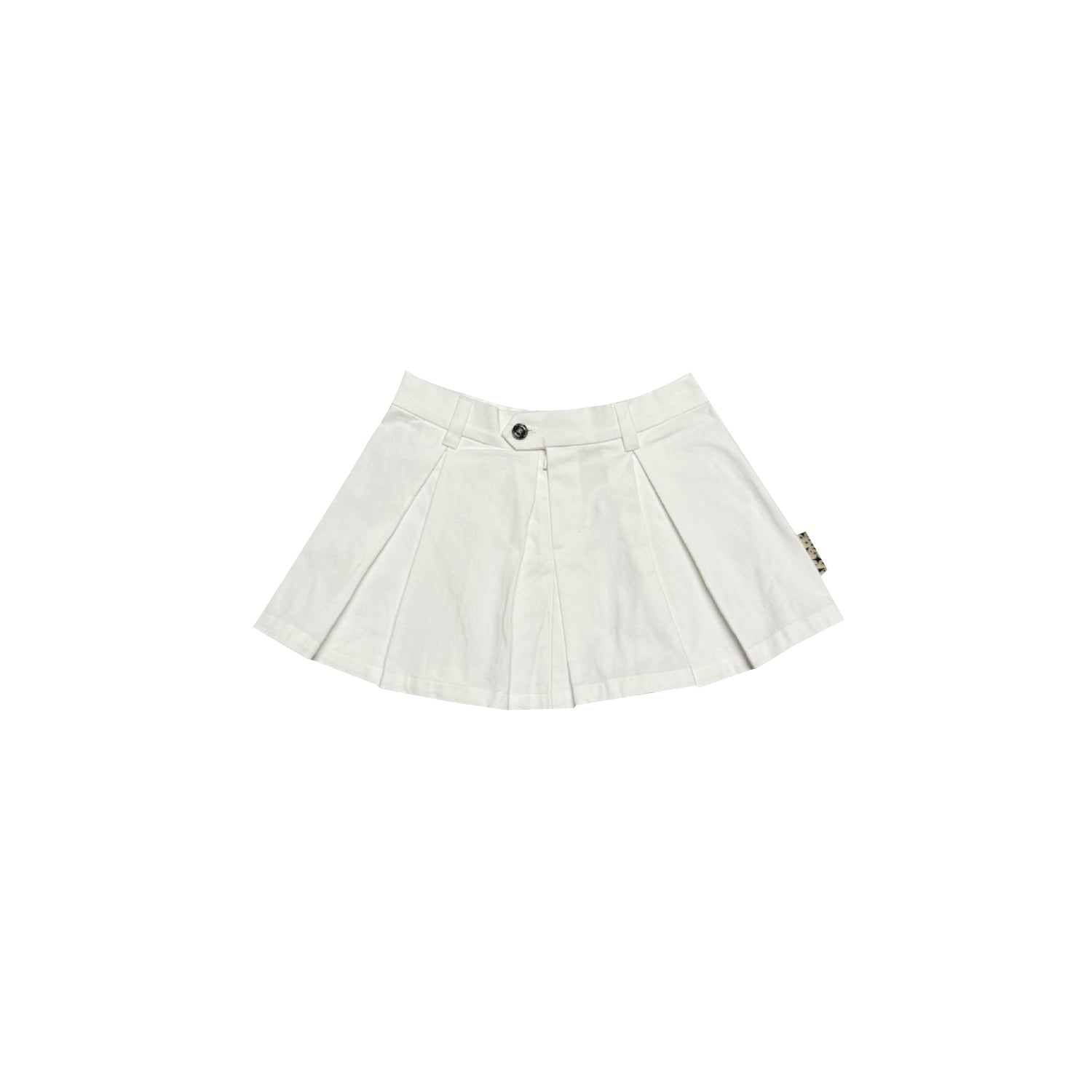 Pleated Skirt
