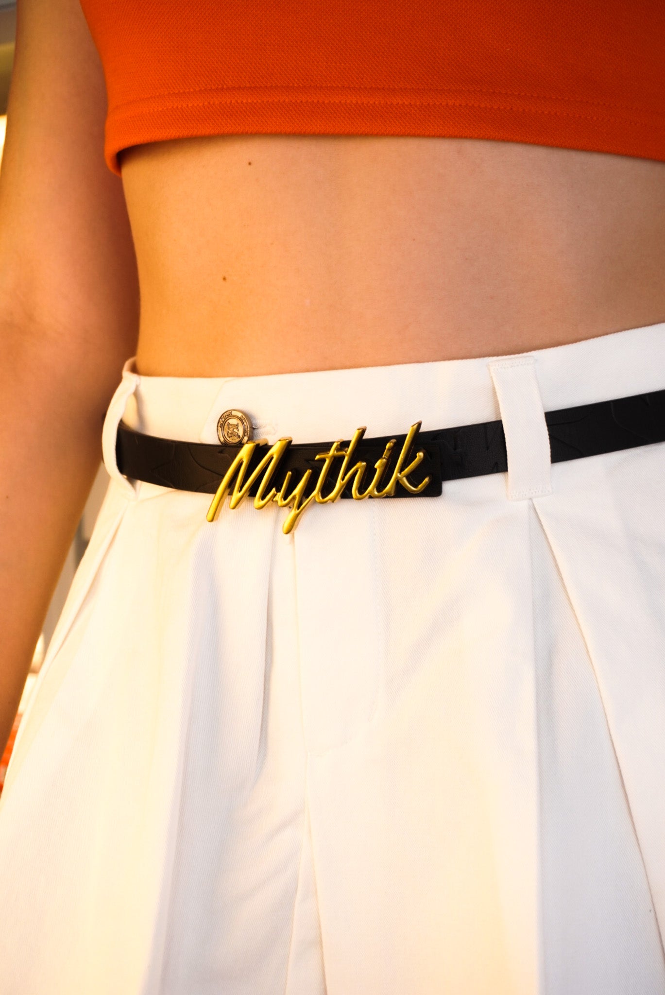 Pleated Skirt